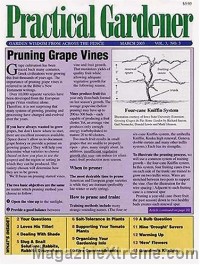 Practical Gardener