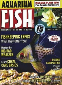 Aquarium Fish