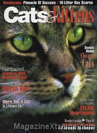 Cats & Kittens