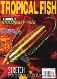 Tropical Fish Hobbyist