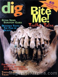 Dig Magazine
