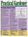 Practical Gardener